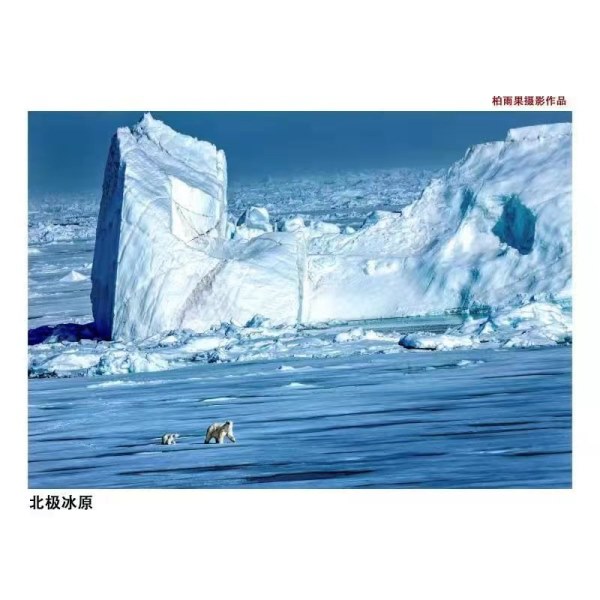 图片12.jpg 图片12.jpg