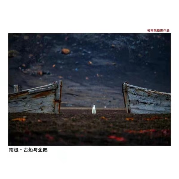 图片14.jpg 图片14.jpg